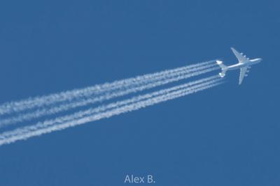 Прикрепленное изображение: 95448330_2846370218791429_8707571375415492608_o.jpg